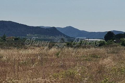 Helårsgrund i Sax, Alicante, Sax - € 59.000 | Ref: SF0315 - foto 2